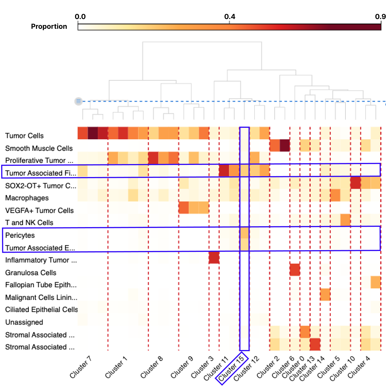 Spatial Cell Type Domain Detection - BioTuring