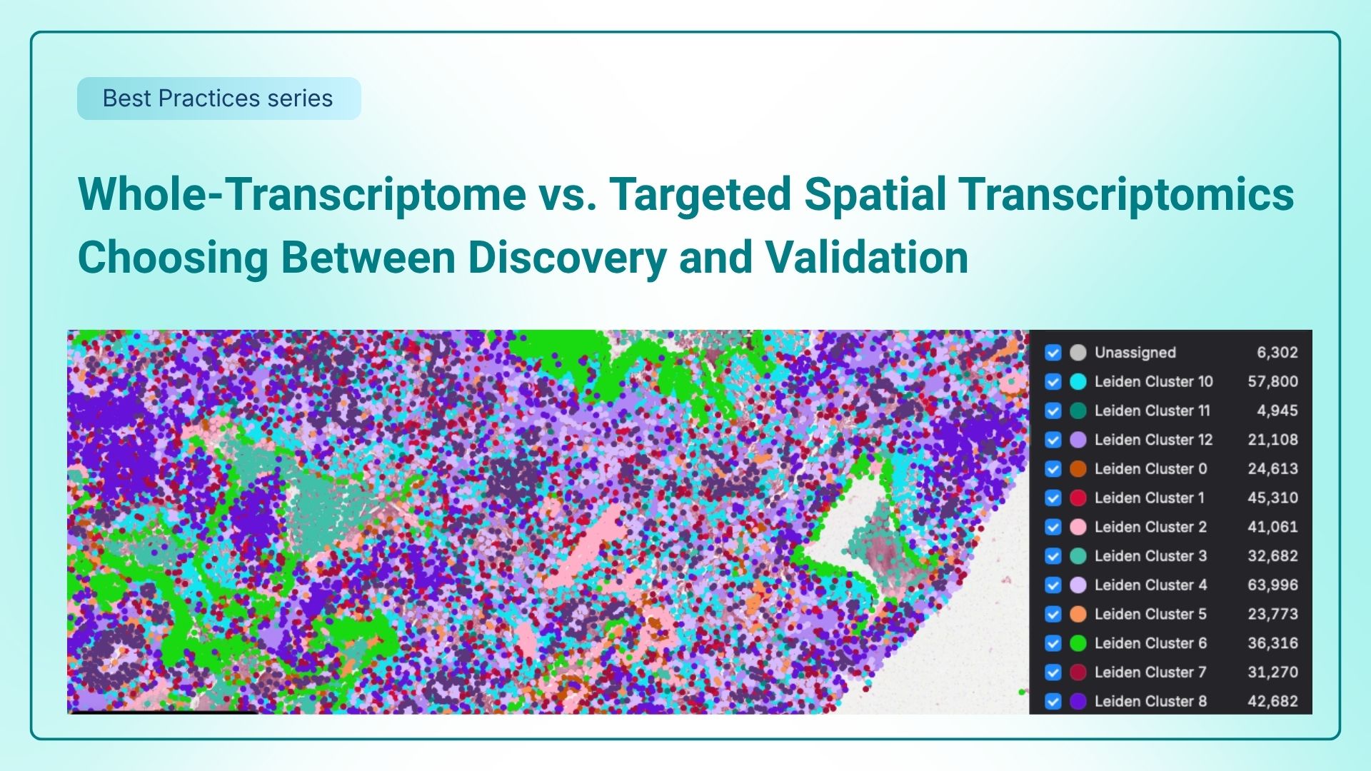 Whole-Transcriptome vs. Targeted Spatial Transcriptomics: Choosing Between Discovery and Validation thumbnail