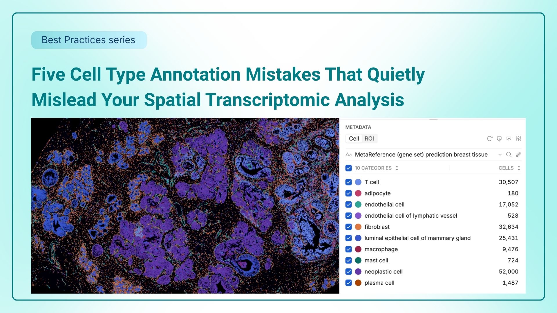Five Cell Type Annotation Mistakes That Quietly Mislead Your Spatial Transcriptomic Analysis thumbnail