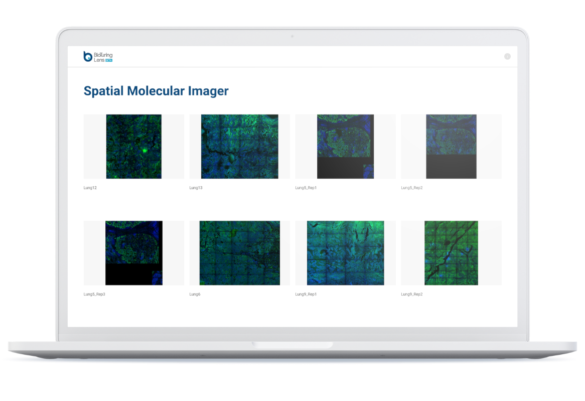 Cell segmentation database for scientists to interactively explore